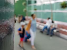 El Aeropuerto continúa con las medidas paliativas  para mitigar el problema, como desazolves, limpiezas de canales, podas, entre otros. EL INFORMADOR / ARCHIVO