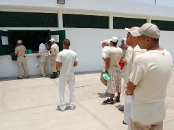 La recomendación busca que se atiendan problemas como la sobrepoblación y malos tratos. EL INFORMADOR/Archivo