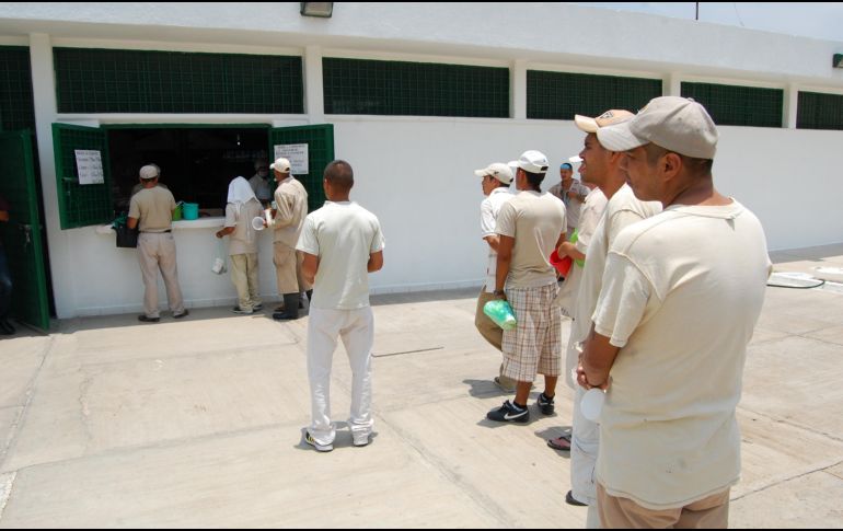 La recomendación busca que se atiendan problemas como la sobrepoblación y malos tratos. EL INFORMADOR/Archivo