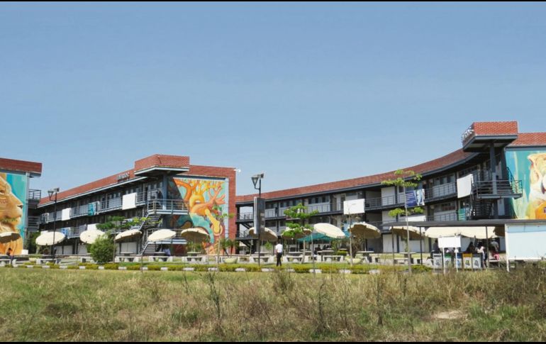 Motivos. Una vista general de la obra de Alegría Del Prado: Un león a la izquierda, un corazón al centro y un búho a la derecha.