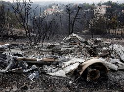 Vista de una zona arrasada por las llamas en Neo Voutza, en el noreste de Attica. EFE/A. Vlachos