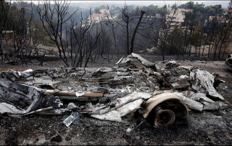 Vista de una zona arrasada por las llamas en Neo Voutza, en el noreste de Attica. EFE/A. Vlachos