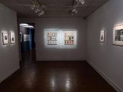 La exposición permanecerá abierta hasta el próximo 24 de agosto en la sede del Instituto de México en Francia. NTX/D. del Río