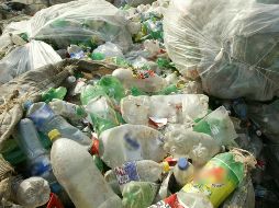 La institución afirma que alrededor de 13 millones de toneladas de plástico son vertidas en los océanos cada año, lo que afecta directamente la biodiversidad, la economía y, potencialmente, la salud.  EL INFORMADOR / ARCHIVO