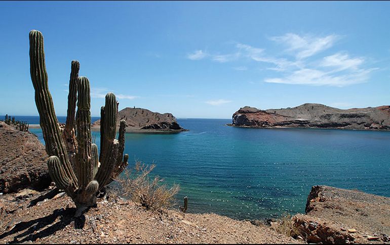 El primero de los temblores se reportó a las 19:17 horas del viernes, con magnitud de 3.7 y epicentro 49 kilómetros al noreste de San Felipe, Baja California. NTX / ARCHIVO