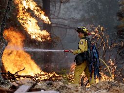 Este incendio ha afectado desde el lunes al Condado Shasta, al norte de la capital Sacramento, y en las últimas 24 horas se extendió un área de 39 mil 398 hectáreas. AP / M. Sánchez