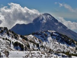 Tras varias horas de búsqueda, personal especializado logró localizar al joven en buen estado de salud. EL INFORMADOR/ARCHIVO