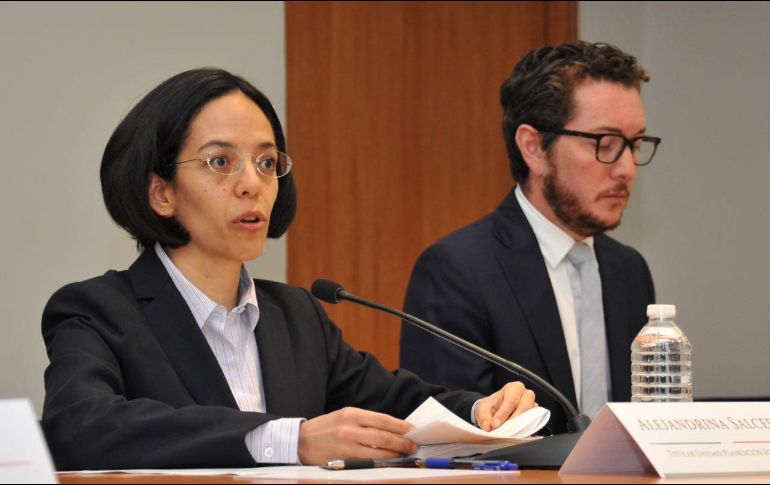 Alejandrina Salcedo, jefa de Planeación Económica de la secretaría de Hacienda, dice que este ligero retroceso resulta del feriado de la semana santa. ESPECIAL/ Secretaría de Hacienda