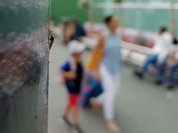 La Secretaría de Salud Jalisco continuará esta semana con trabajos de prevención. EL INFORMADOR/Archivo