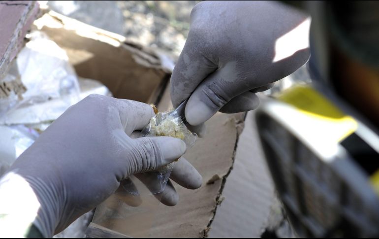 Además de las dos mujeres mexicanas, seis ciudadanos italianos fueron puestos bajo arresto. AFP/ARCHIVO