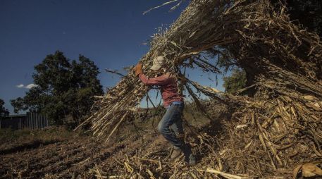Alberto Díaz Beltrán, subprocurador Jurídico y de Asuntos Internacionales, indicó que la guía podría estar lista en tres meses. EL INFORMADOR / ARCHIVO