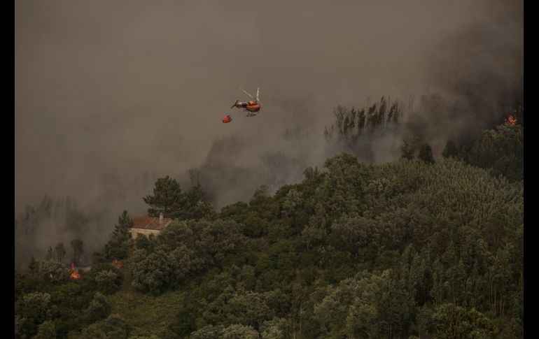 En las labores de combate participan también 226 vehículos y 9 helicópteros.