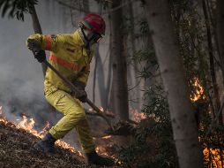 En el lugar afectado trabajan más de mil 100 bomberos, 343 vehículos de extinción y nueve medios aéreos. AP/J. Fergo