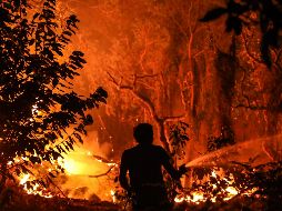Un hombre combate el incendio forestal que asola Monchique, en Barranco de Banho. EFE/M. Lopes
