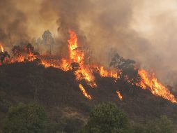 En Francia, se espera que el centro y el noreste del país sean las zonas más afectadas por la ola de calor.  EFE / M. López