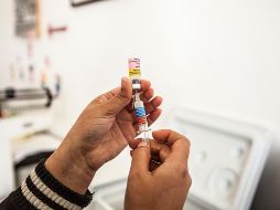 En este mismo mes de agosto llegará otro lote de vacunas pediátricas para el Estado. EL INFORMADOR/Archivo