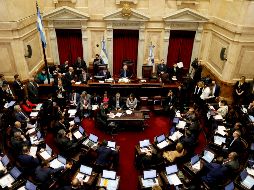 La iniciativa fue enviada al Senado para su ratificación o rechazo; por ahora el proyecto cuenta con 38 votos en contra, 31 a favor y dos indecisos. AP / N. Pisarenko