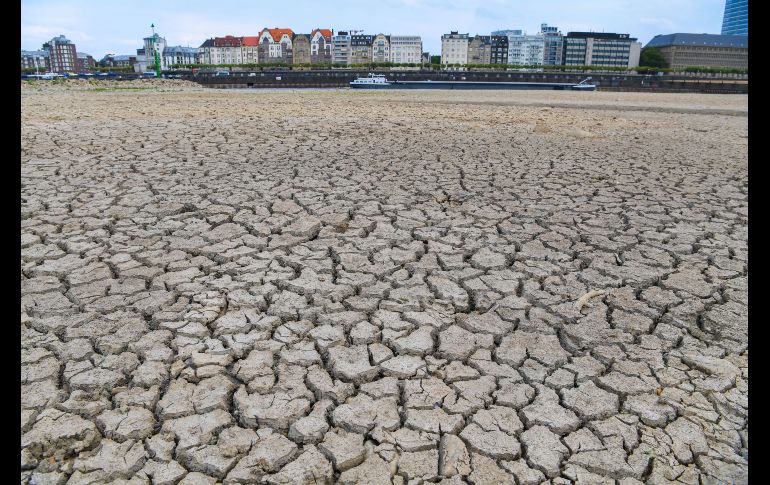 El lecho del río Rin luce seco en Duseldorf, Alemania, mientras continúa la ola de calor. AFP/P. Stollarz