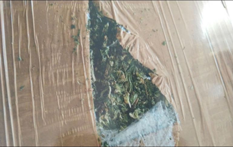 Lo asegurado es remitido ante el Fiscal Social de la Federación, en la subsede de Puerto Vallarta, Jalisco. ESPECIAL