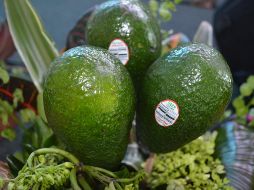 El aguacate también contribuye a disminuir la tensión nerviosa y la depresión, así como favorecer una buena digestión y proteger al estómago de úlceras y gastritis. NTX / ARCHIVO