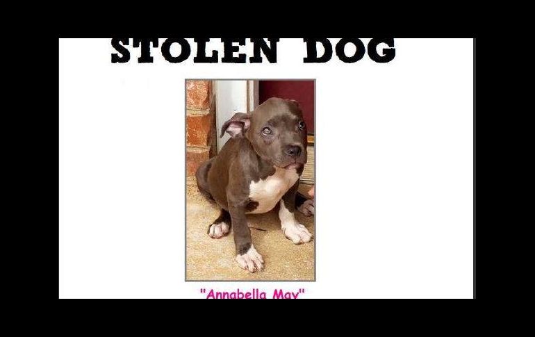 Annabella May, era la compañera de Zakaia, quien padece un cáncer de cerebro terminal y le dieron hasta seis meses de vida. FACEBOOK / Burlington Police Department-NC