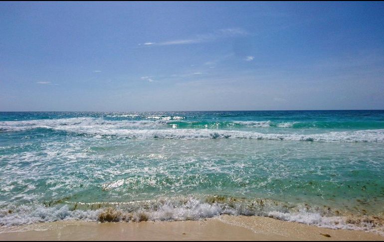 Ante esta situación, sociedad, empresarios y autoridades continúan realizando labores titánicas para su recolección, minimizando sus efectos en el litoral costero. TWITTER/ @CancunCVB