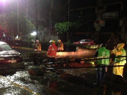 Personal de Protección Civil y el Ejército Mexicano acudieron a los puntos donde se registró la caída de árboles para realizar su retiro de las vialidades. TWITTER / @CEPCO_GobOax