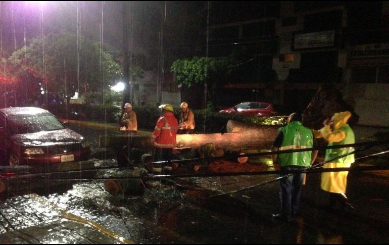 Personal de Protección Civil y el Ejército Mexicano acudieron a los puntos donde se registró la caída de árboles para realizar su retiro de las vialidades. TWITTER / @CEPCO_GobOax