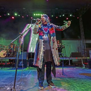 Aterciopelados, adiós al silencio