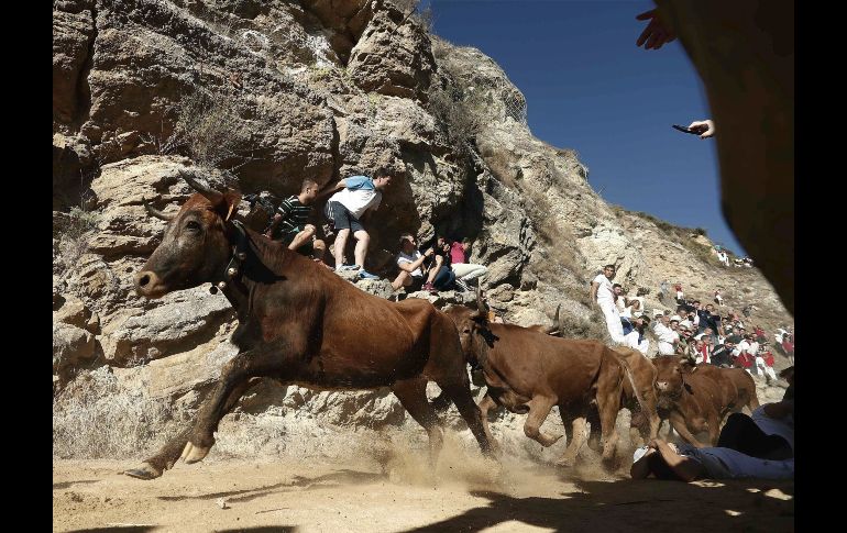 Personas asisten al cuarto encierro de El Pilón, reconocido como Fiesta de Interés Turístico de Navarra, en España. Se trata de una carrera de 800 metros que tiene como singularidad que discurre cuesta abajo con la montaña por un lado y el barranco por otro. EFE/J. Diges