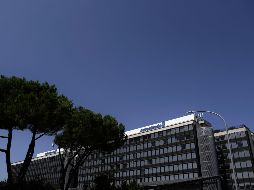 Los bomberos dijeron haber recibido muchas llamadas por los daños sufridos por algunos edificios, pero precisaron en Twitter que no habían sido contactados para rescatar a personas. AFP/ F. Monteforte