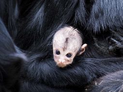 El mundo en imágenes del 16 de agosto de 2018