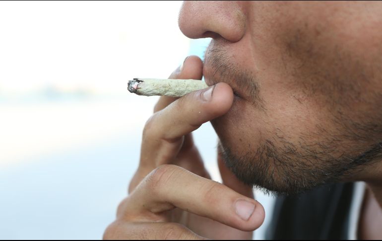 Las sobredosis comenzaron a registrarse este miércoles y continuaron hoy en un céntrico parque de New Haven. EL INFORMADOR / ARCHIVO