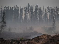 El incendio de Prince George es uno de los cerca de 600 que están activos en la provincia de Columbia Británica de los que unos 50 son especialmente peligrosos.  D. Dyck