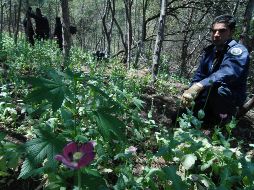 La iniciativa propone reformas a la Ley General de Salud, al Código Penal Federal y al Código Nacional de Procedimientos Penales. NTX / ARCHIVO