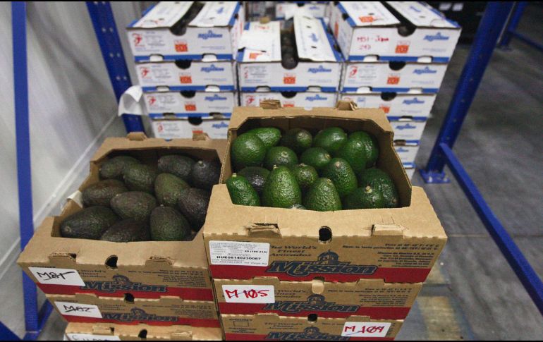 Alimentos. El aguacate es uno de los principales productos de exportación en México. EL INFORMADOR/ARCHIVO