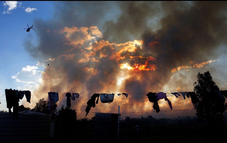 Bomberos luchan para extinguir un incendio forestal fuera de control cerca de un hogar en Salt Ash, la región de Hunter de Australia. EFE/D. Pateman