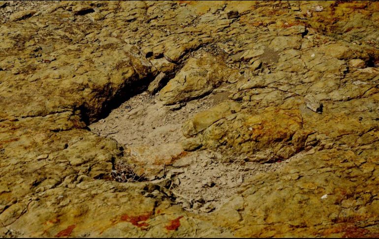 Clark destacó que las huellas fósiles se encuentran 