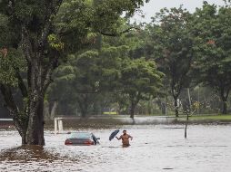 Las fuertes lluvias han ocasionado deslizamientos de tierra en algunas áreas y los vientos han provocado el bloqueo de numerosas calles por árboles caídos. EFE / B. Omori