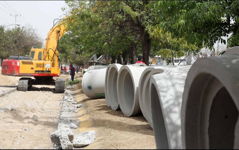 Armando Brenez Moreno, presidente del CICEJ, indica que 