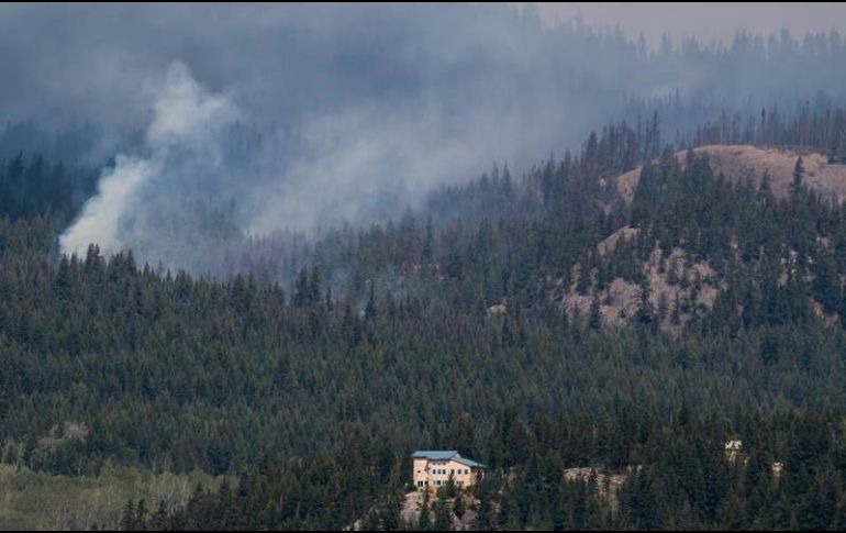 El nuevo equipo de mexicanos se unirá a las labores de liquidación en Columbia Británica, en donde se tiene un registro de 450 incendios activos. ESPECIAL / The Canadian Press