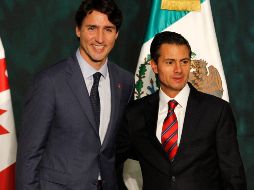 Detallan que Peña Nieto comentó con Trudeau los últimos desarrollos en el proceso. NTX / ARCHIVO