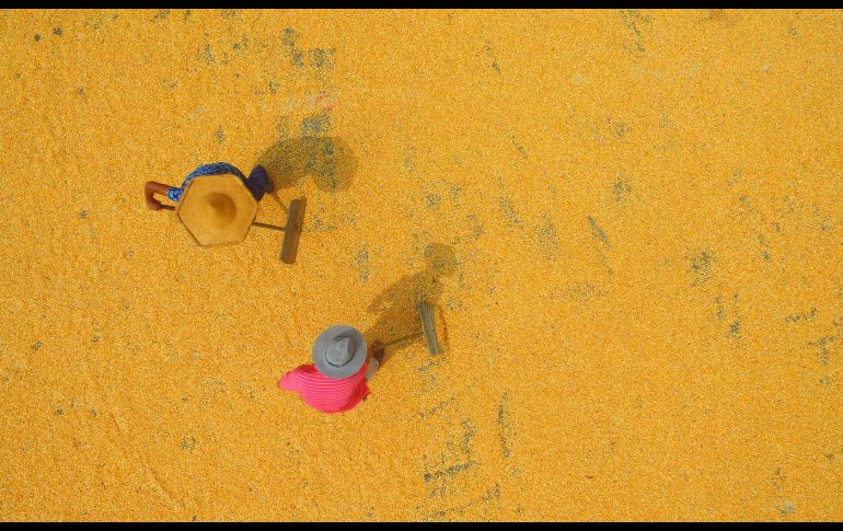 Campesinos secan maíz durante la cosecha en Tancheng, China. AFP