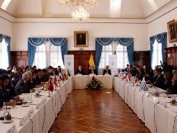 La Organización de los Estados Americanos fijó para el miércoles una sesión extraordinaria 