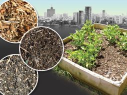 La lombricomposta, cuya producción se emplea la lombriz roja o californiana. TWITTER / @UNAM_MX