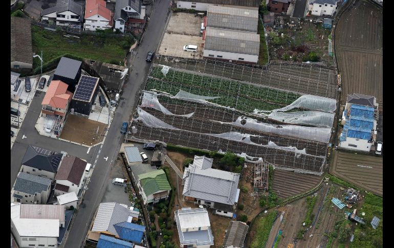 Invernaderos destruidos en Osaka.