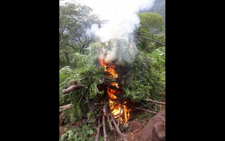 El hallazgo se dio en el predio Puerta Vieja, del ejido Copal Colorado. NTX/ESPECIAL