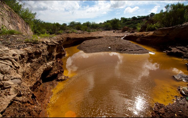 El derrame de la mina Buenavista del Cobre ha contaminado el arroyo Tinajas, el río Bacanuchi  y el río Sonora. AFP / ARCHIVO