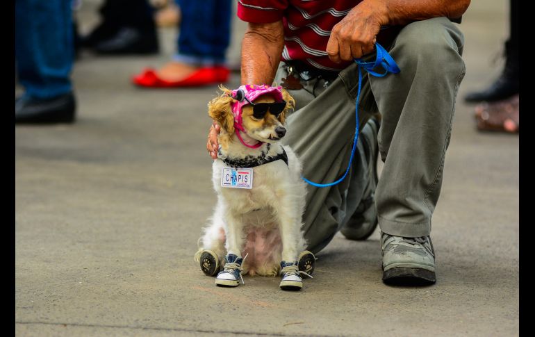 Los trabajos de renovación se realizaron  en las 5.2 hectáreas de superficie, con respecto al trazo original. ESPECIAL/ Ayuntamiento de Guadalajara