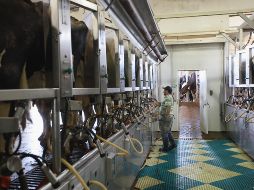 Las discusiones entre EU y Canadá se centran en particularidades que no afectan directamente a México, como el sector de lácteos. AFP/Archivo